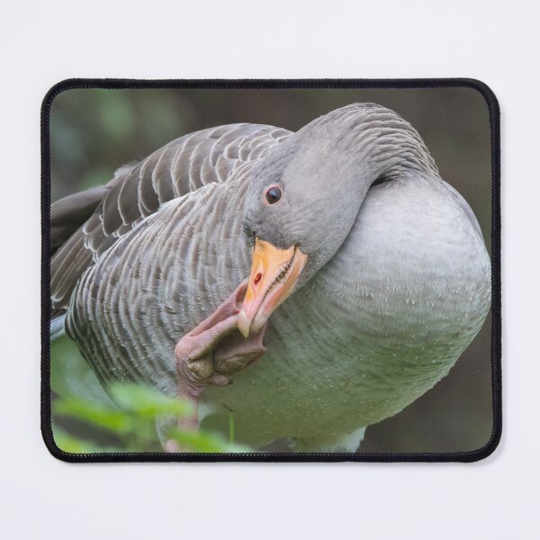 Item preview, Greylag Goose designed and sold by LaurenTucker.