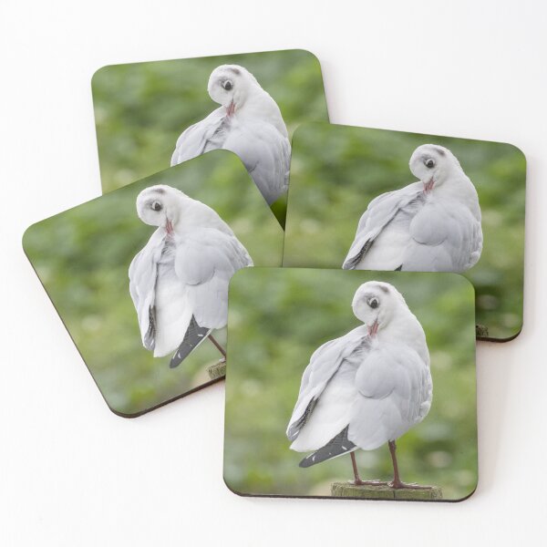 Item preview, Black Headed Gull designed and sold by LaurenTucker.