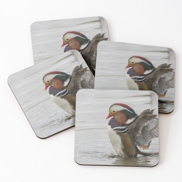 Aperçu de l'œuvre Mandarin Duck créée et vendue par LaurenTucker.