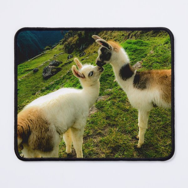 Item preview, baby alpaca designed and sold by JD369.