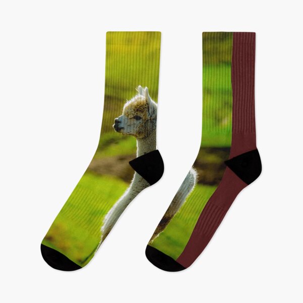 Item preview, animal baby alpaca in green grassland  designed and sold by JD369.