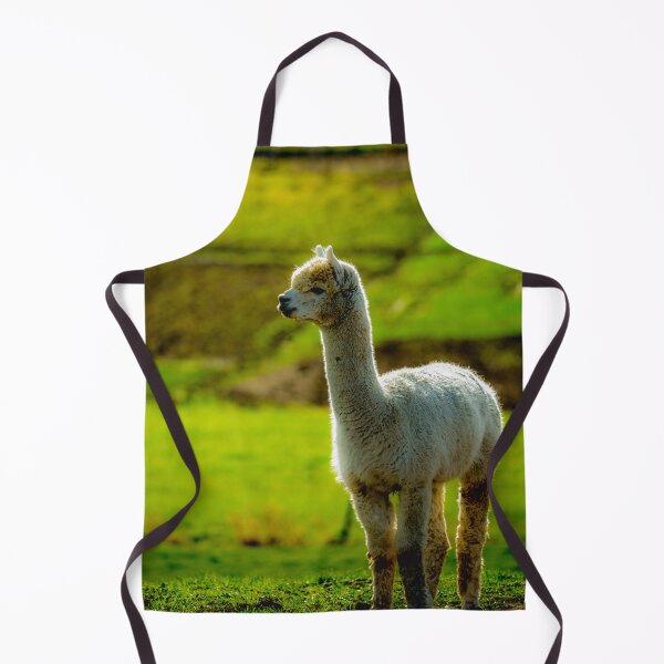 Item preview, animal baby alpaca in green grassland designed and sold by JD369.