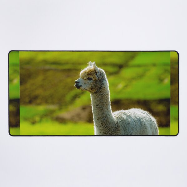 Item preview, animal baby alpaca in green grassland designed and sold by JD369.