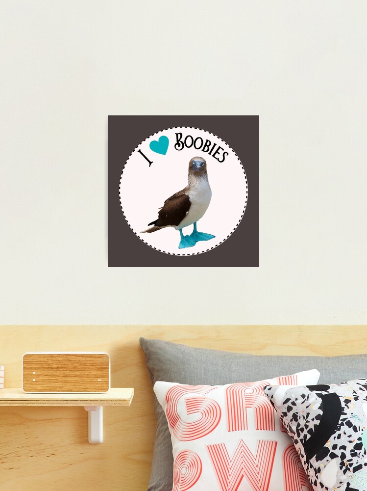 I Love Boobies // Blue Footed Booby Photographic Print for Sale