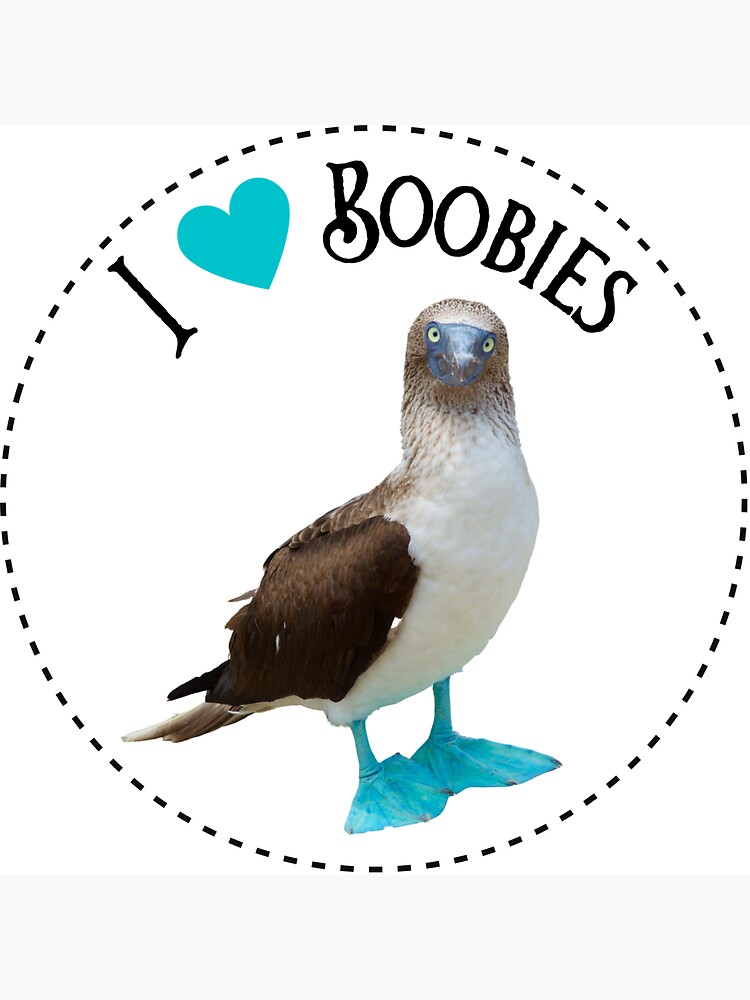 I Love Boobies BlueFooted Boobie Bird Funny | Poster