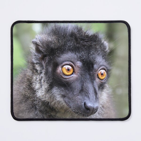 Artikelvorschau, Brown-Lemur-Porträt entworfen und verkauft von Ladymoose.