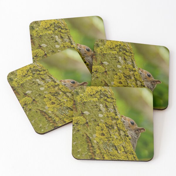 Item preview, Grey Squirrel Peeking Around a Tree designed and sold by UKMatt2000.