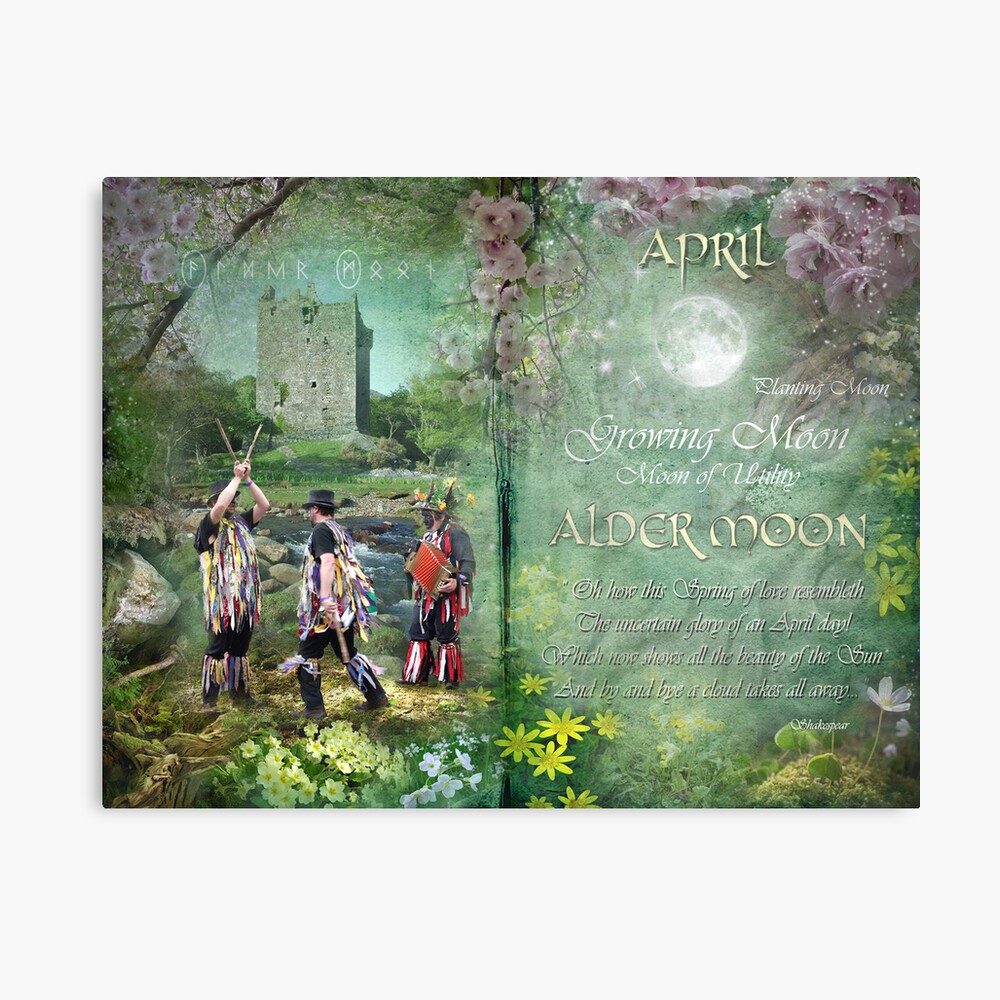 April : Alder Moon Canvas Print