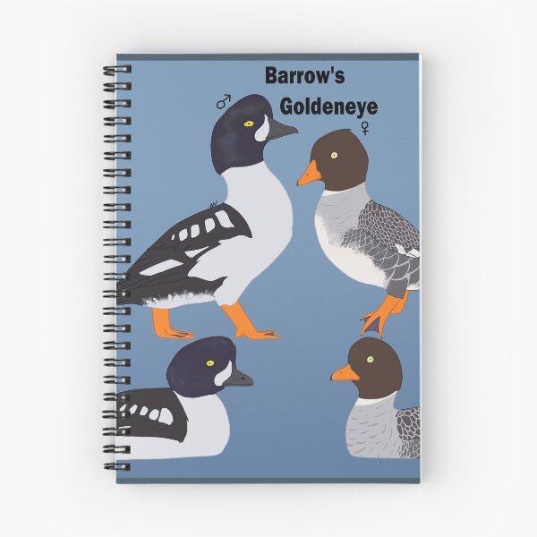 Item preview, Barrow's Goldeneye Duck designed and sold by Draginous.
