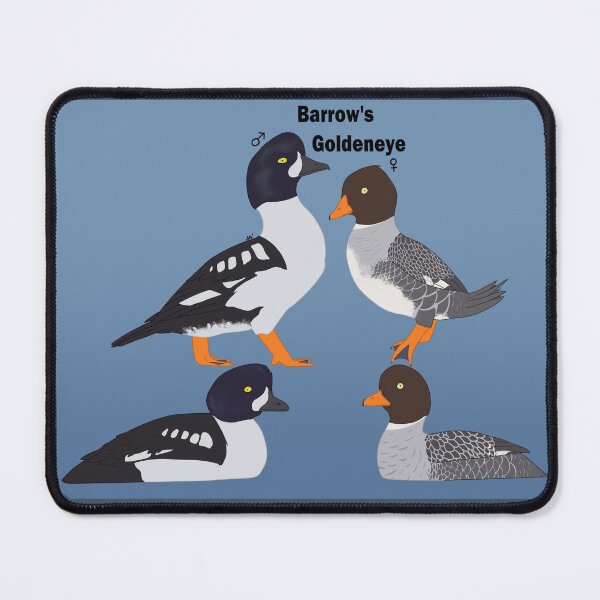 Item preview, Barrow's Goldeneye Duck designed and sold by Draginous.