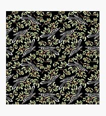 Lino Print - Wattle Bird Photographic Print