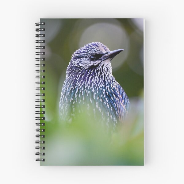 Item preview, Starling designed and sold by photobytableau.