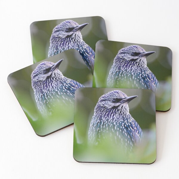Item preview, Starling designed and sold by photobytableau.