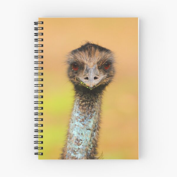Item preview, A Curious Look designed and sold by CBoyle.
