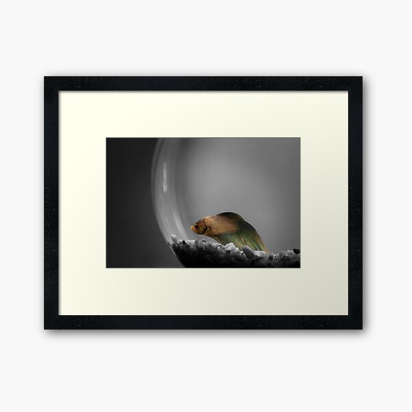 Living in a Bubble Framed Art Print