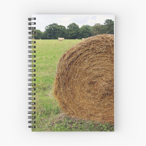 Item preview, Hay Bale designed and sold by pinkal.