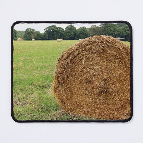 Item preview, Hay Bale designed and sold by pinkal.
