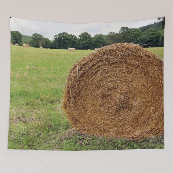 Item preview, Hay Bale designed and sold by pinkal.