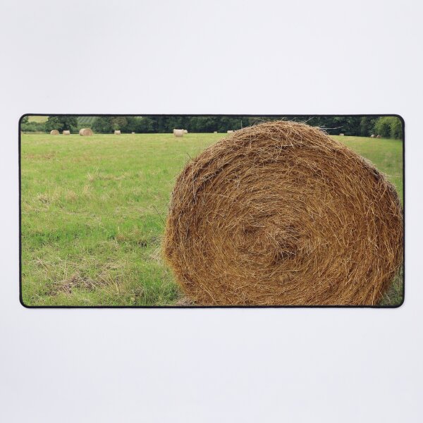 Item preview, Hay Bale designed and sold by pinkal.