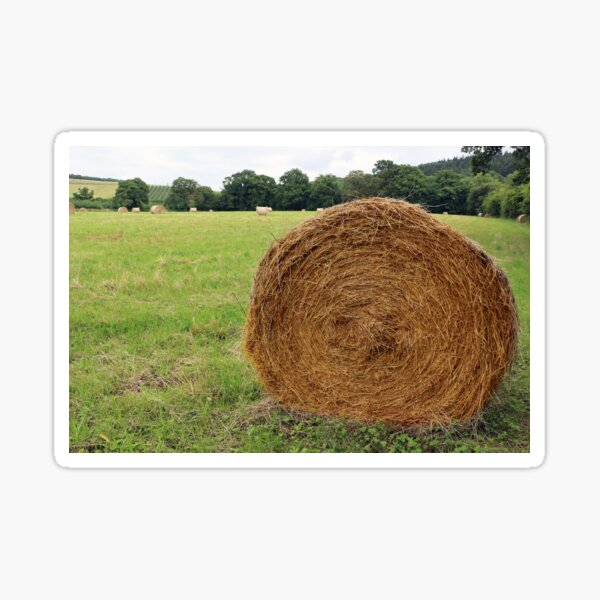 Straw Hey, Mountain Shape Straw Hay Dry, Straw Many on White