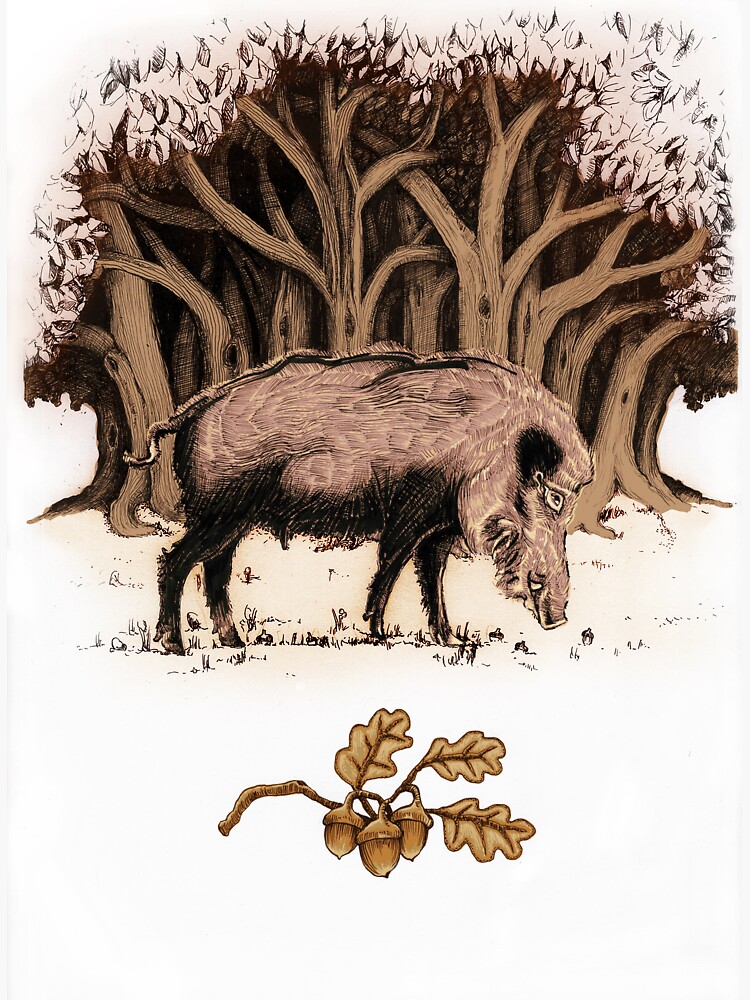 Thumbnail 3 of 3, Sticker, Wild boar, wild boar on the grass, illustration designed and sold by tommek.