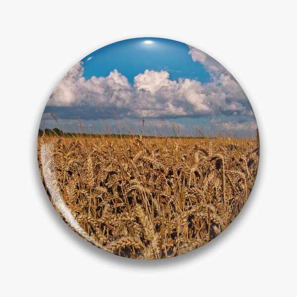 Item preview, Fields of Golden Corn designed and sold by Martyn R Arnold Fine Art Nature & Landscape Photography.