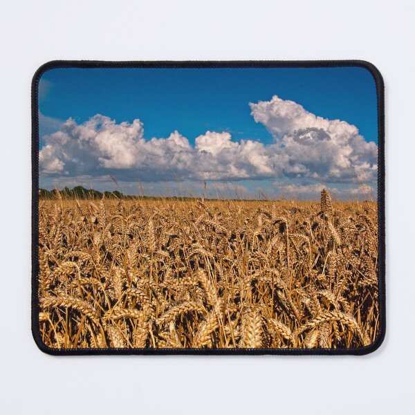 Item preview, Fields of Golden Corn designed and sold by Martyn R Arnold Fine Art Nature & Landscape Photography.