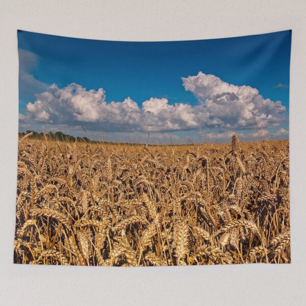 Item preview, Fields of Golden Corn designed and sold by Martyn R Arnold Fine Art Nature & Landscape Photography.