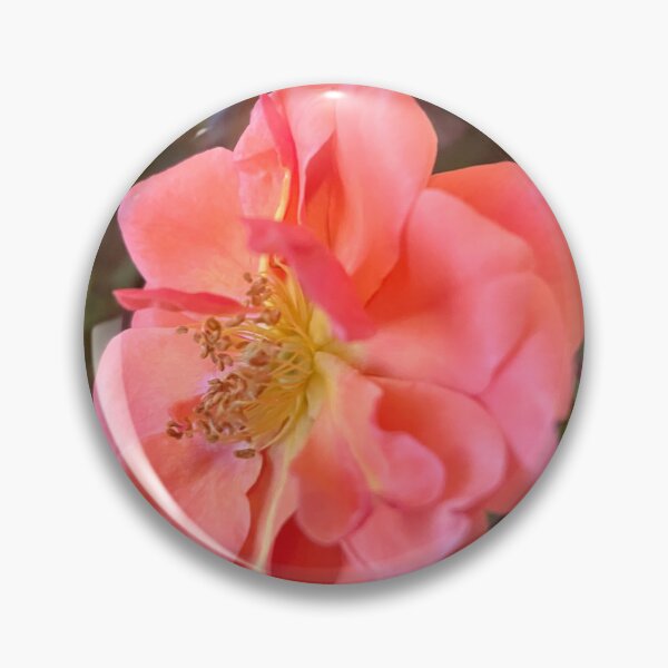 Aperçu de l'œuvre Belle Rose Corail créée et vendue par Purplebell.