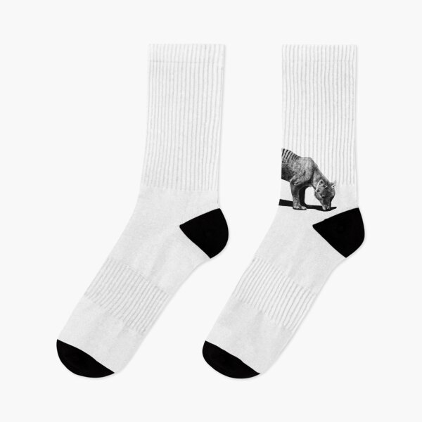 Item preview, Tilacino. Lobo Marsupial. Lobo de tasmania. Animal extinto designed and sold by Tiendaplanista.
