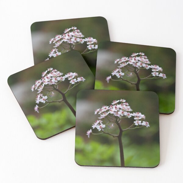 Item preview, saxifraga peltatum designed and sold by codaimages.