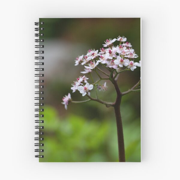 Item preview, saxifraga peltatum designed and sold by codaimages.