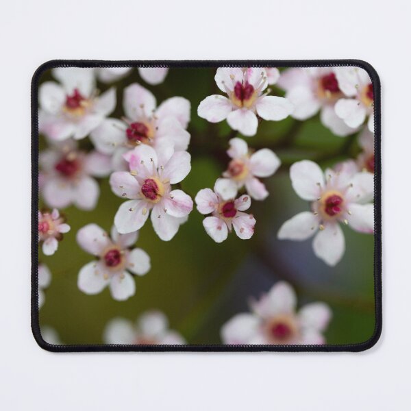 Item preview, indian rhubarb designed and sold by codaimages.
