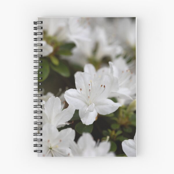 Item preview, azaleas designed and sold by codaimages.