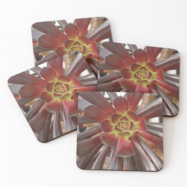 Item preview, Variegated Succulent, October 2022 designed and sold by RedHillDigital.