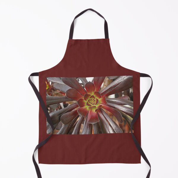 Item preview, Variegated Succulent, October 2022 designed and sold by RedHillDigital.