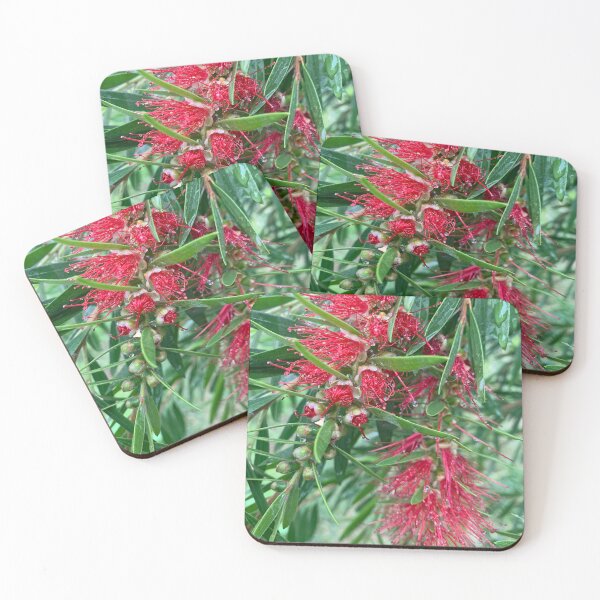 Item preview, Bottlebrush  designed and sold by baksuart.