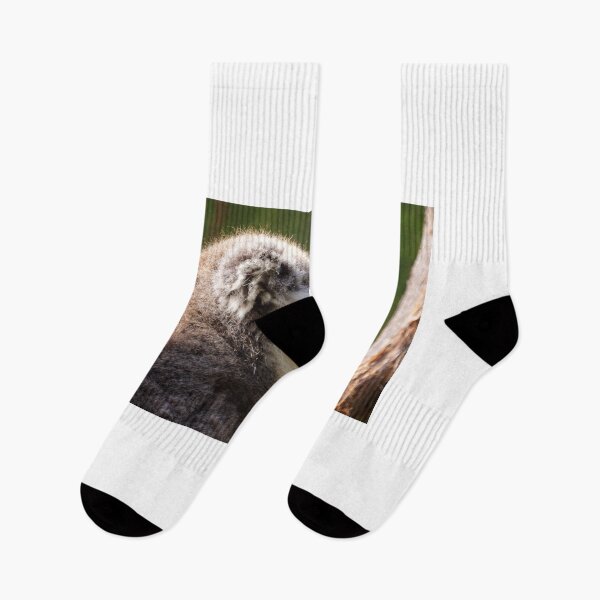 Item preview, The Koala  designed and sold by D-GaP.