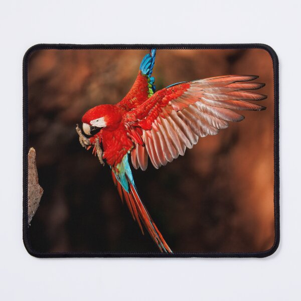 Item preview, Red-and-green Macaw designed and sold by Graham Prentice.