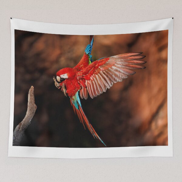 Item preview, Red-and-green Macaw designed and sold by Graham Prentice.