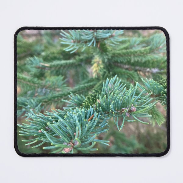 Item preview, Spruce up the place designed and sold by Purplebell.