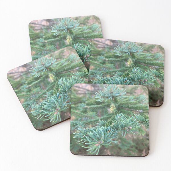 Item preview, Spruce up the place designed and sold by Purplebell.