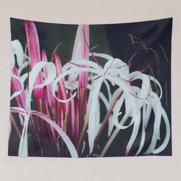 Item preview, Spider Lily designed and sold by akiobsession.