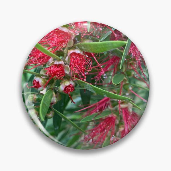 Item preview, Bottlebrush  designed and sold by baksuart.