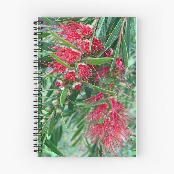 Item preview, Bottlebrush  designed and sold by baksuart.