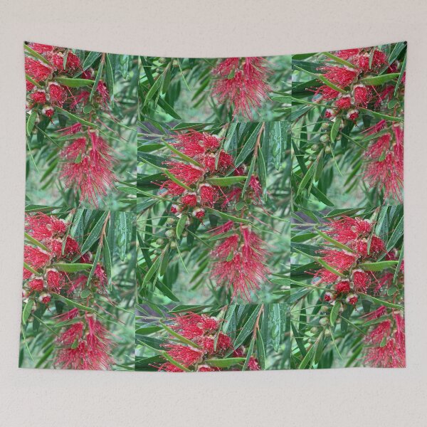 Item preview, Bottlebrush  designed and sold by baksuart.