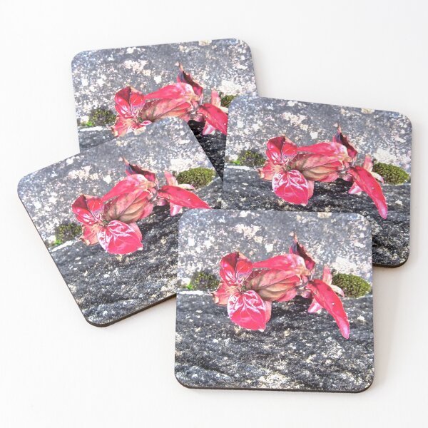 Item preview, Red Leaves designed and sold by Shulie1.