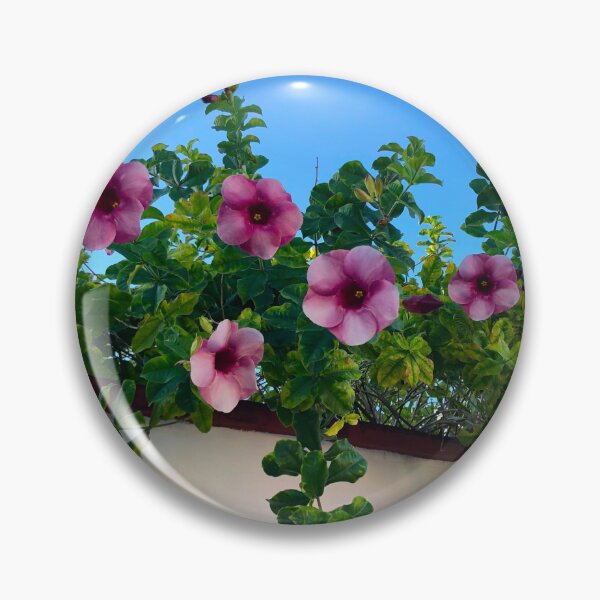Item preview, Pink Flowers and Vines over a Wall in Merida, Mexico Floral Photographs designed and sold by YemmyZImages.