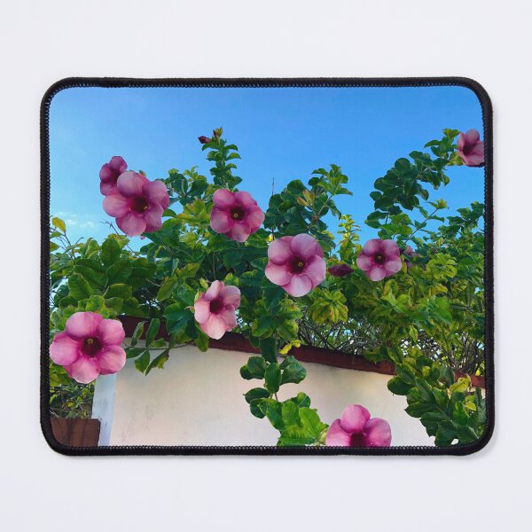 Item preview, Pink Flowers and Vines over a Wall in Merida, Mexico Floral Photographs designed and sold by YemmyZImages.