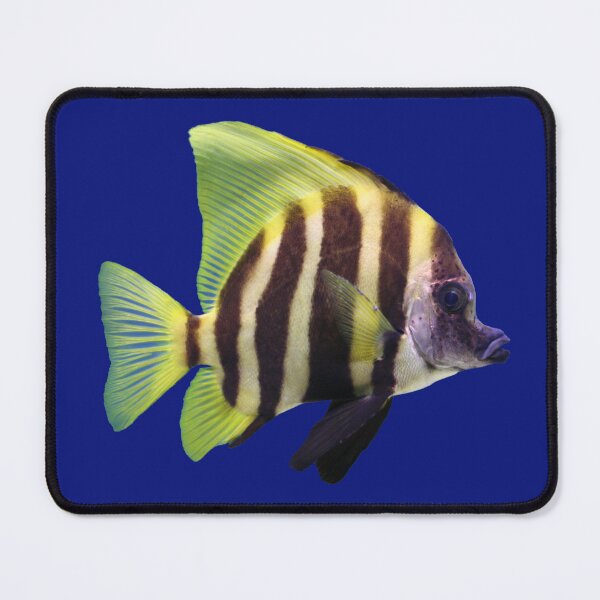 Item preview, Zebra Tang designed and sold by killies.